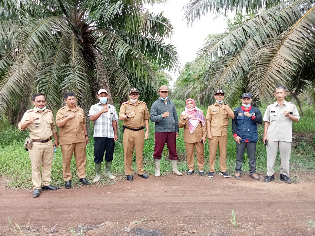 Bupati Banyuasin Launching PSR Di Desa Tirta Mulya, Akhir Bulan Ini