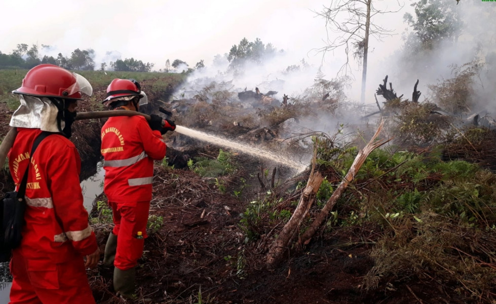 Sudah 4 Hari Lahan di Dumai Terbakar, Hari Ini BPBD Riau Lakukan TMC