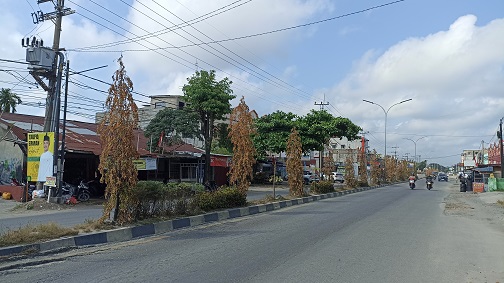 Mulai Mengering Akibat Kemarau, DLHK Pekanbaru Tambah Jadwal Penyiraman Pohon di Median Jalan
