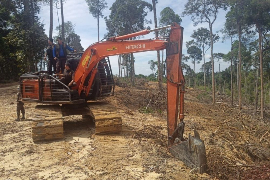 PPNS DLHK Riau Cari Pelaku Otak Pembuka Lahan Kawasan Hutan Gunung Sahilan