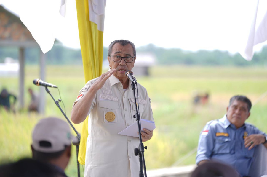 Panen Raya Padi di Siak, Gubernur Riau Serahkan Bantuan Untuk Kelompok Tani