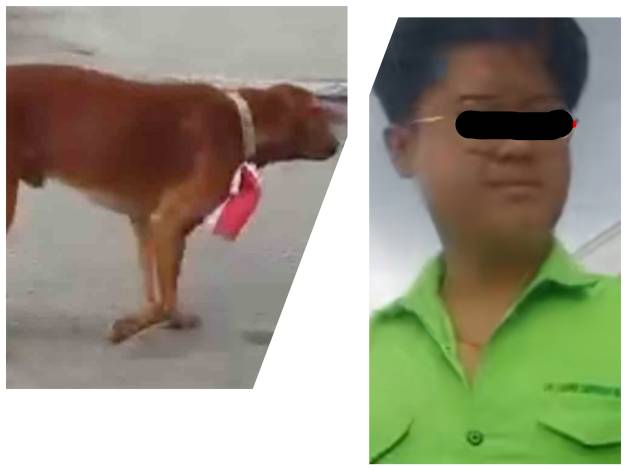Kasus Penyematan Bendera di Leher Anjing Diselesaikan Melalui Restorasi Justice